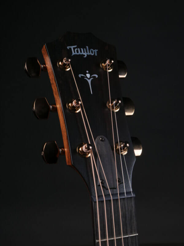 Taylor 724ce - Image 3