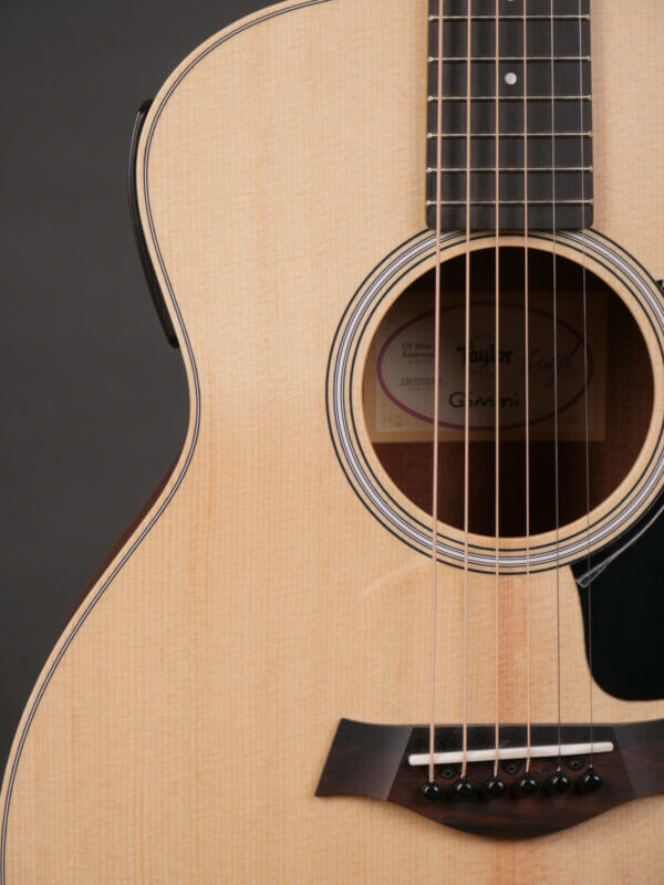 Taylor GS Mini-e Rosewood - Image 4