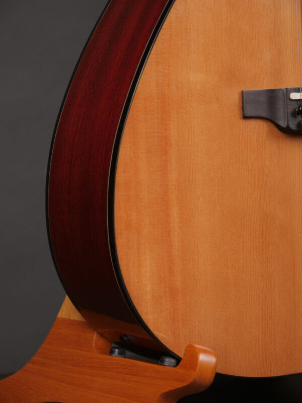 Goldtone BZ1000 - Image 3