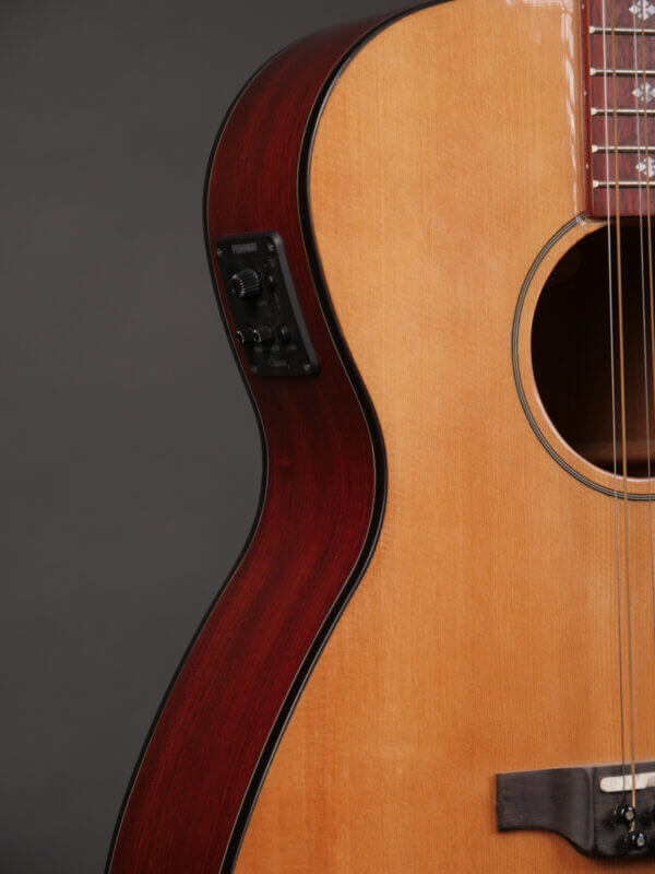Goldtone BZ1000 - Image 9
