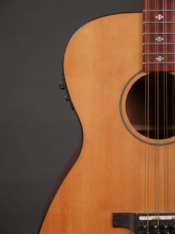 Goldtone BZ1000 - Image 2