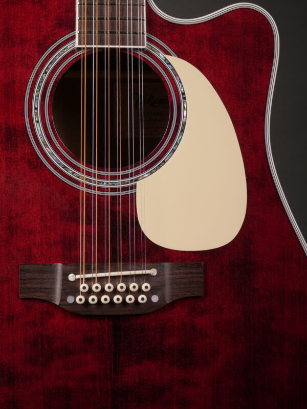 Takamine JJ325SRC-12 JOHN JORGENSON - Image 9