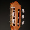 Tamura P50 Brazilian RW Concert Classical - Image 7