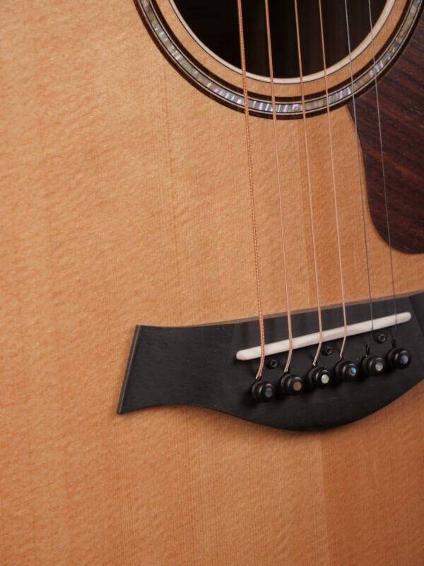 Taylor GT 811e - Image 6