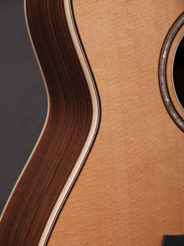 Taylor GT 811e - Image 7