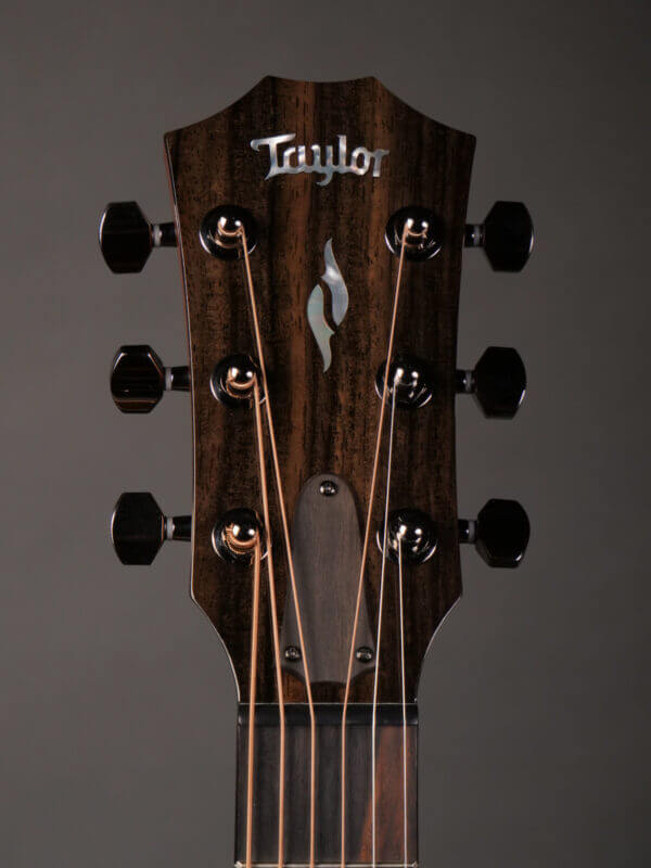 Taylor GT 811e - Image 8