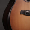 Taylor Builder's Edition 912ce WHB - Image 9