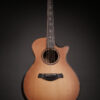 Taylor Builder's Edition 912ce WHB - Image 6