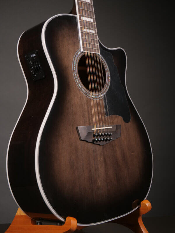 D'Angelico DAPG2112GRBCPS - Image 3