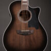 D'Angelico DAPG2112GRBCPS
