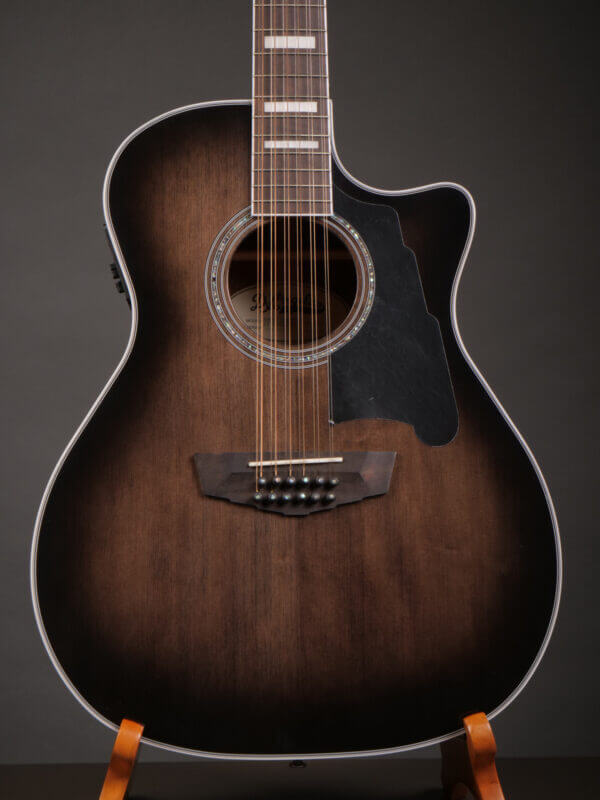 D'Angelico DAPG2112GRBCPS