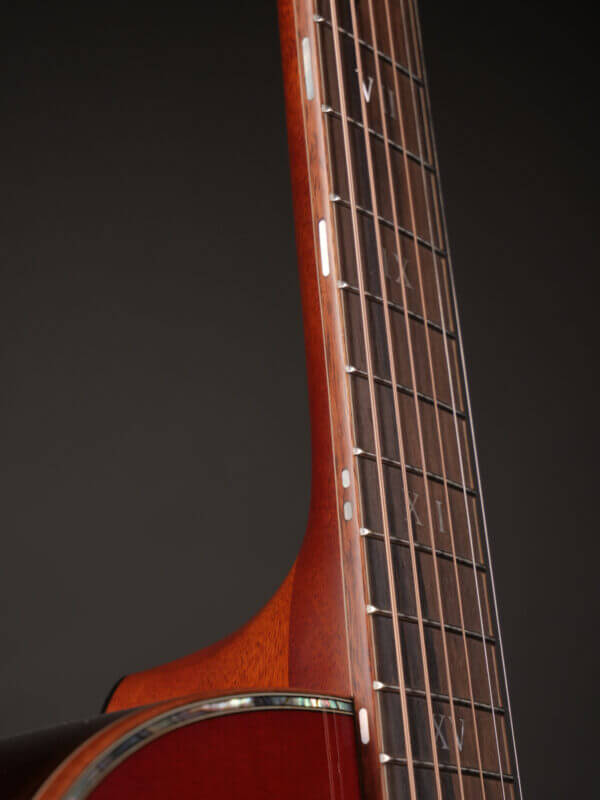 Furch Red DLX Gc-LR SB Anthem - Image 15