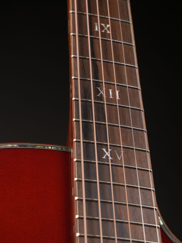 Furch Red DLX Gc-LR SB Anthem - Image 8