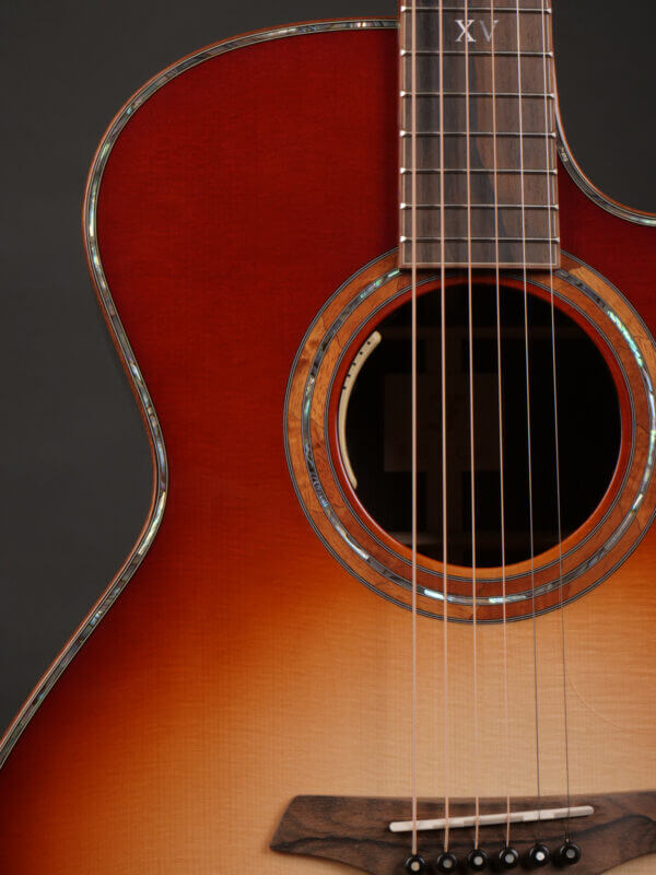 Furch Red DLX Gc-LR SB Anthem - Image 9