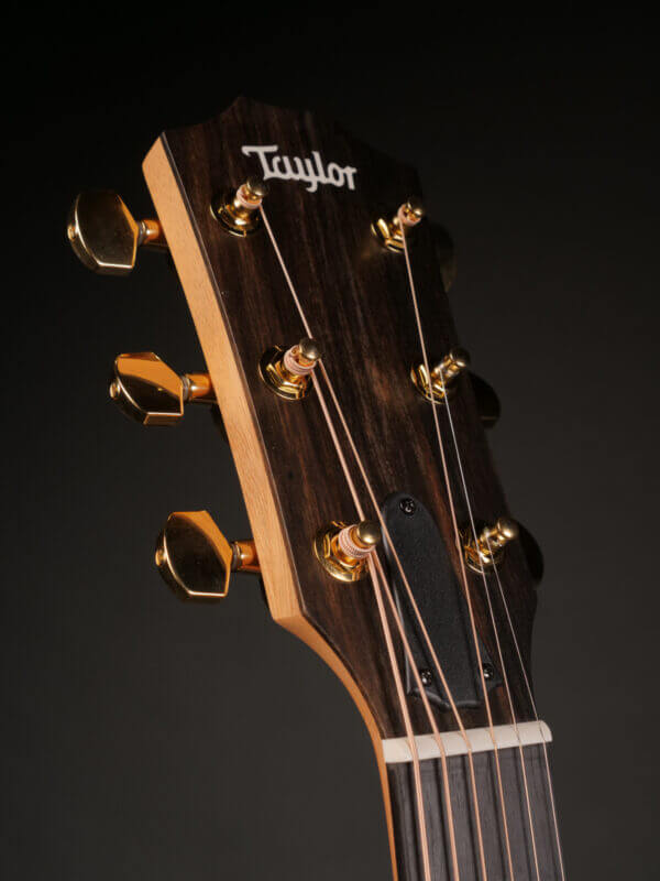 Taylor 214ce SB DLX - Image 4