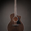 Taylor 214ce DLX LTD - Image 12