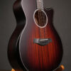 Taylor Builder's Edition 324ce - Image 2