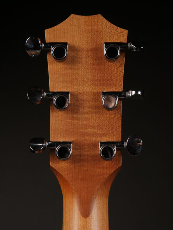 Taylor BBT Walnut - Image 7