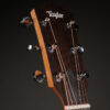 Taylor BBT Walnut - Image 6