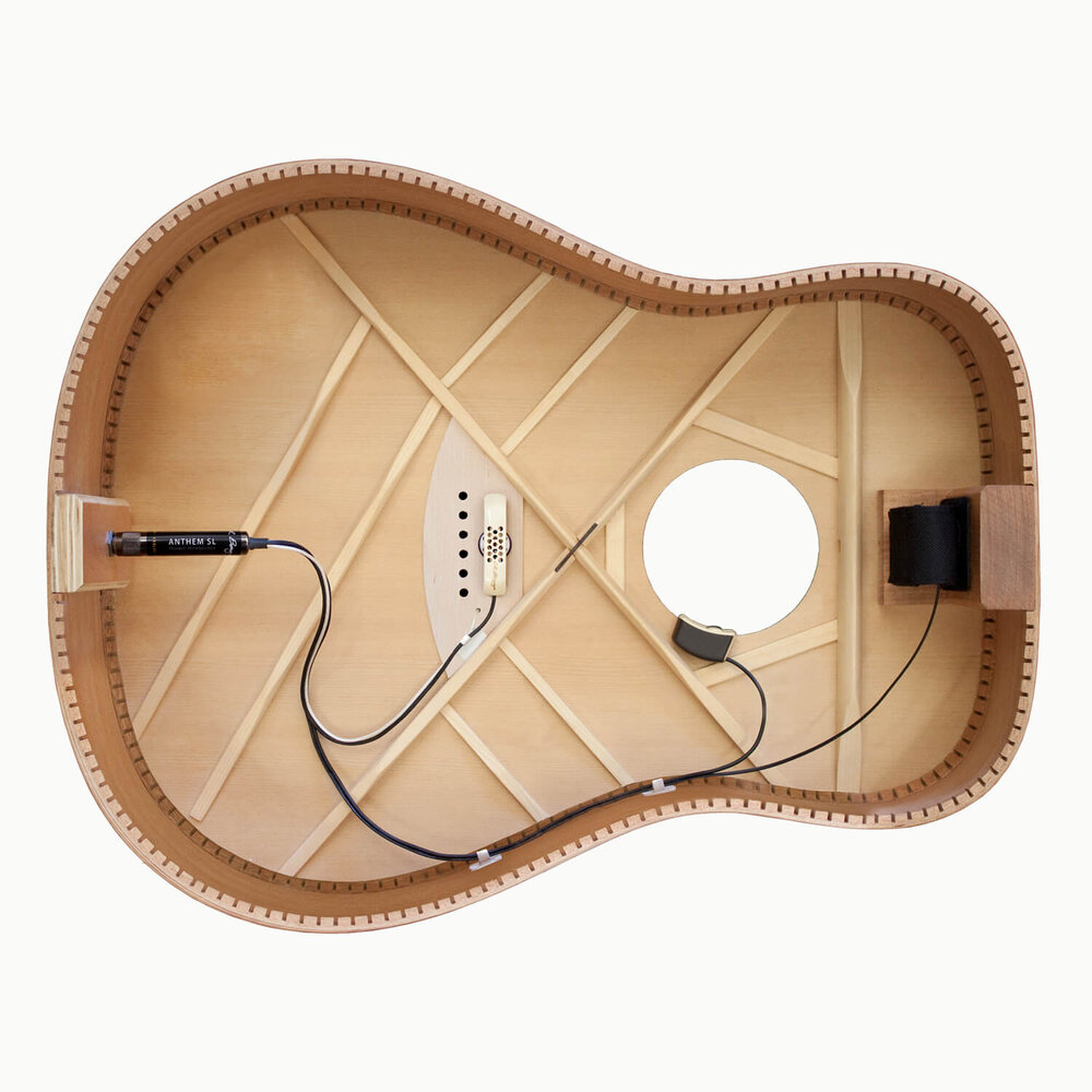 LR Baggs Anthem SL Soundhole Acoustic Guitar Pickup (Microphone +  Undersaddle)