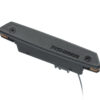 fishman rare earth