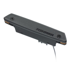 fishman rare earth