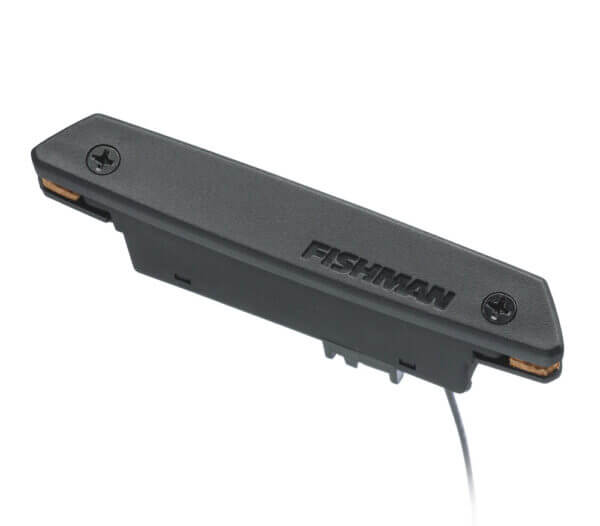fishman rare earth