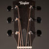 Taylor 110e - Image 4