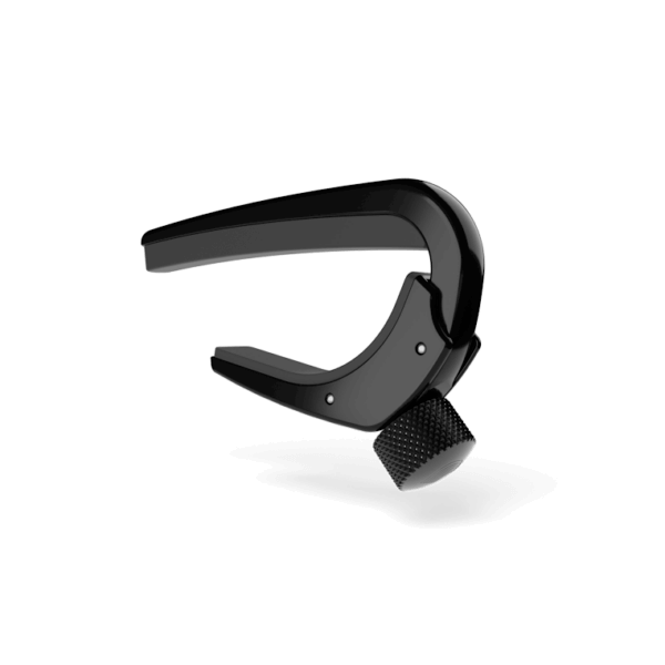 D'Addario Pro Capo