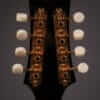 Collings MT2 Mandola (2010) - Image 12