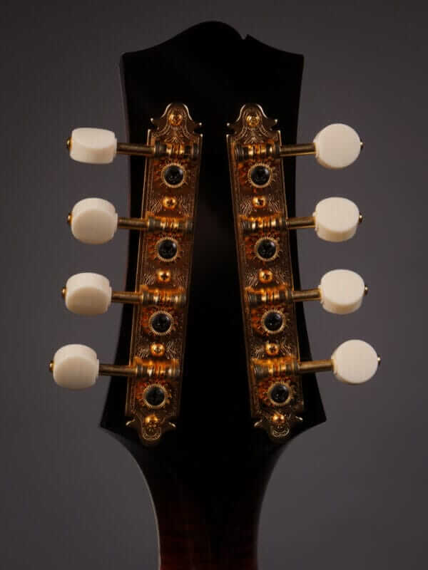 Collings MT2 Mandola (2010) - Image 12