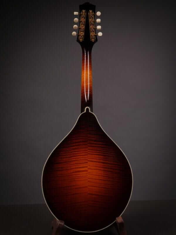 Collings MT2 Mandola (2010) - Image 11