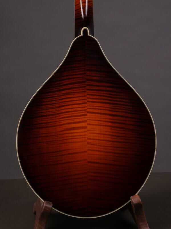 Collings MT2 Mandola (2010) - Image 10