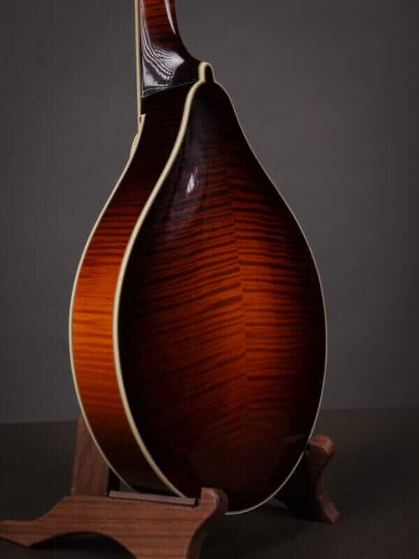 Collings MT2 Mandola (2010) - Image 9