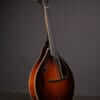 Collings MT2 Mandola (2010) - Image 6