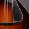 Collings MT2 Mandola (2010) - Image 8