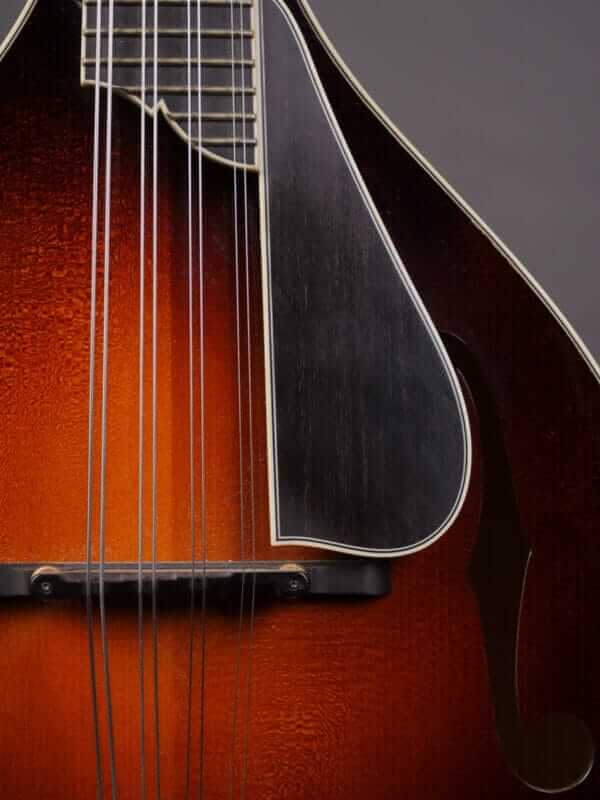 Collings MT2 Mandola (2010) - Image 8