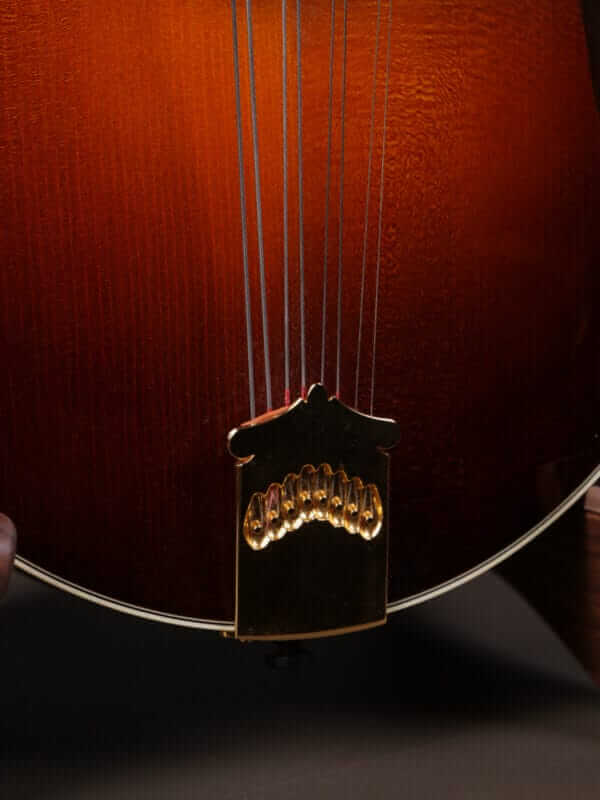 Collings MT2 Mandola (2010) - Image 5