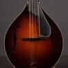 Collings MT2 Mandola (2010)