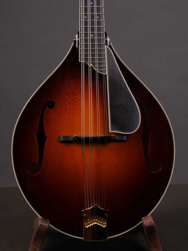 Collings MT2 Mandola (2010)