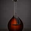 Collings MT2 Mandola (2010) - Image 2