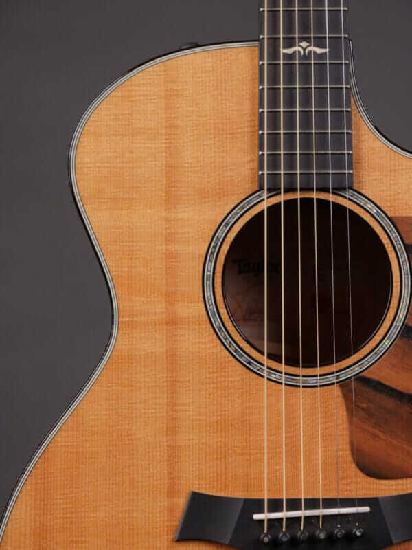 Taylor 614ce (2019) - Image 3