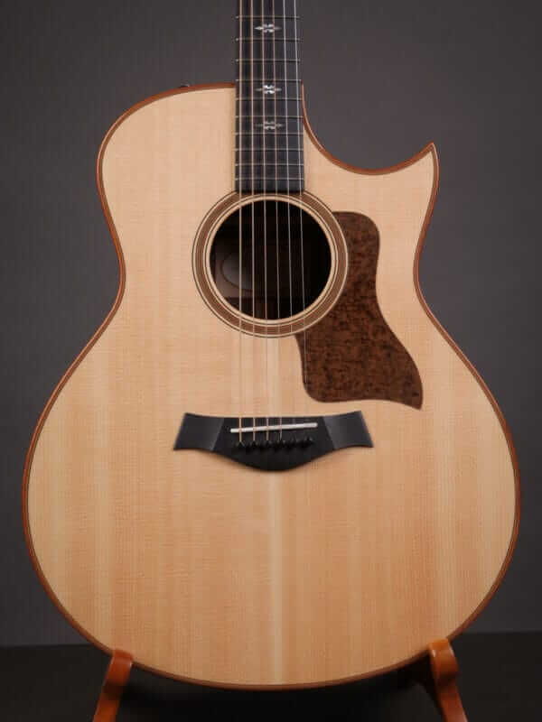 Taylor 716ce (2017)