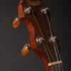 Bacon Peerless Tenor Banjo (1920's) - Image 4