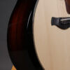 Taylor 50th Anniversary Builder's Edition 314ce LTD - Image 11