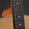Taylor 50th Anniversary GS Mini-e Rosewood LTD - Image 13