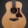 Taylor 50th Anniversary GS Mini-e Rosewood LTD
