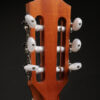 Taylor 214ce N (Used) - Image 13