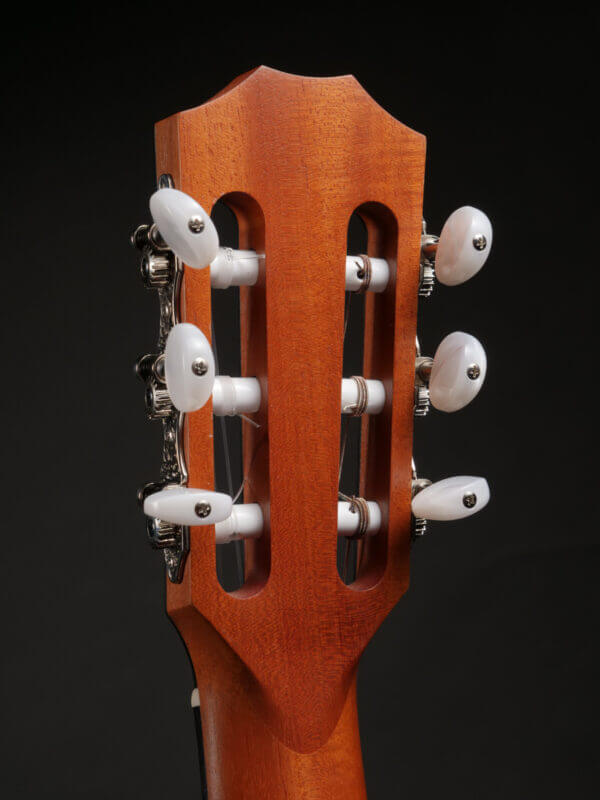 Taylor 214ce N (Used) - Image 13
