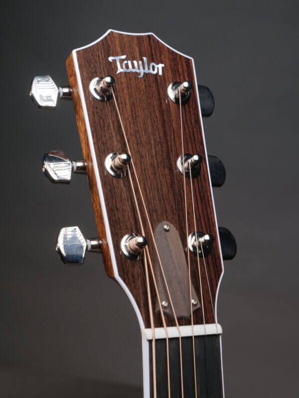 Taylor Legacy 810e - Image 9